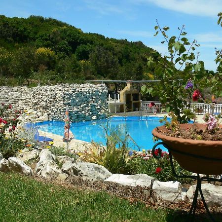 Angela Apartments Pool Gardens And Sea Views Agios Stefanos Avliotes  Esterno foto