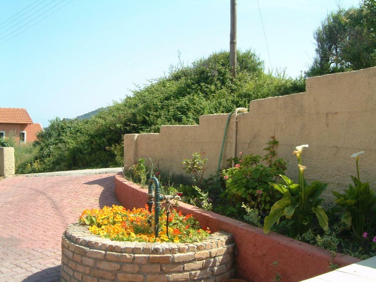 Angela Apartments Pool Gardens And Sea Views Agios Stefanos Avliotes  Esterno foto